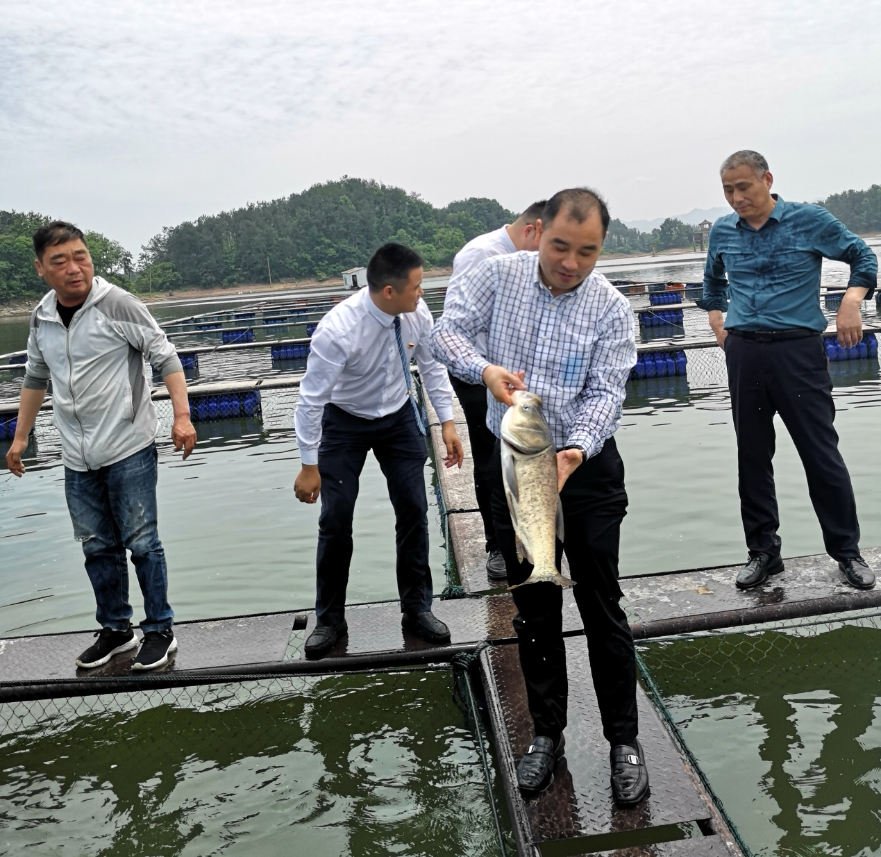 岸香國際控股集團蒞臨萬佛湖漁業(yè)考察指導(dǎo)