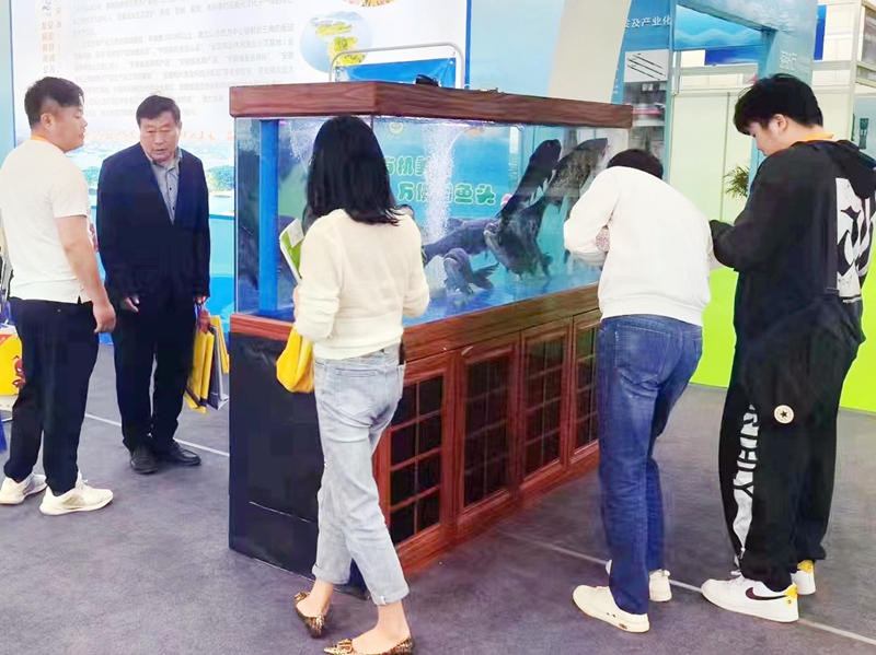 萬佛湖有機魚榮膺第六屆中國國際現(xiàn)代漁業(yè)博覽會金獎